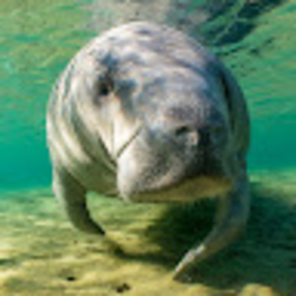 Meet your Posher, Danielle - Picture 1 of 1